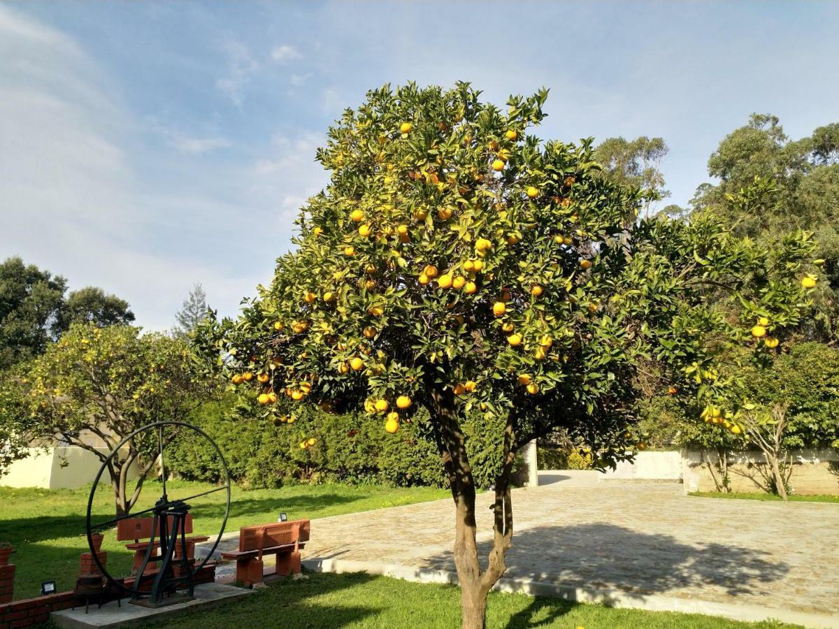 Metro Vilar Suites & Villas Vilar do Pinheiro Eksteriør bilde